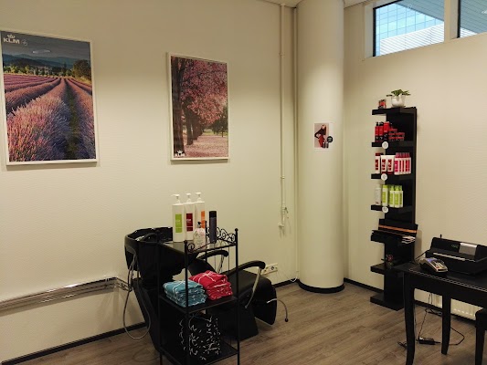 salon-fly-hair